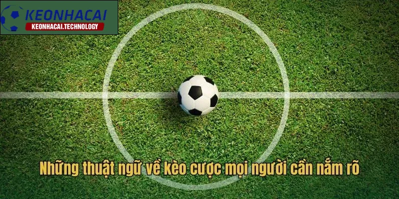 Điều cần biết khi học thuật ngữ cá cược bóng đá