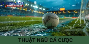 Thuat-ngu-ca-cuoc