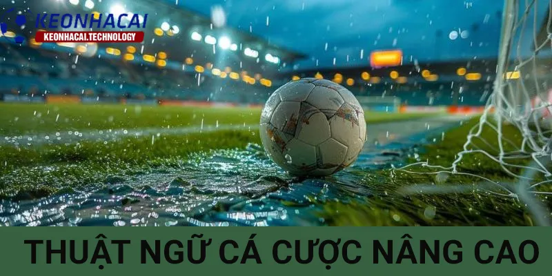 Thuật ngữ nâng cao trong chuyên ngành cá cược