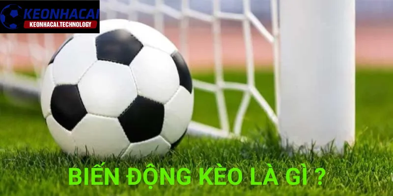 Tìm hiểu về biến động kèo nhà cái là gì